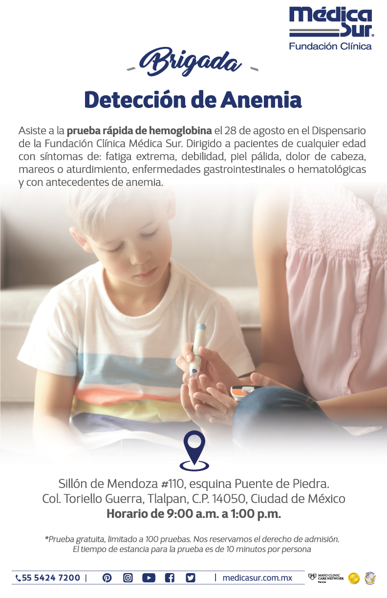 Brigada Detecci�n de Anemia